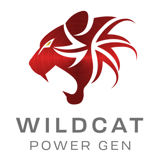 Wildcat Generators